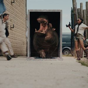 Bilder Hippo's Revenge - Drei Tonnen Zorn