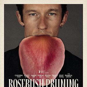 Bilder Rosebush Pruning