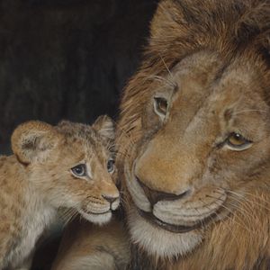 Bilder Mufasa: Der König der Löwen