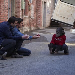 Bilder The Killer On The Road