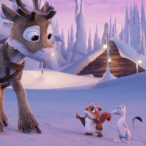 Bilder Niko - Reise zu den Polarlichtern