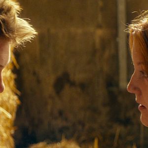 Bilder Könige des Sommers