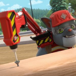 Bilder Rubble & Crew: Das große Kinoabenteuer