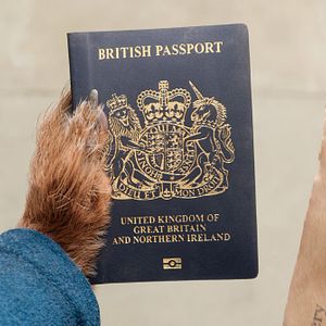 Bilder Paddington in Peru