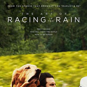 Bilder Enzo und die wundersame Welt der Menschen