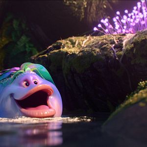 Bilder Swapped - Getauscht