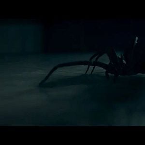 Bilder Crawlers – Im Netz der Spinnen