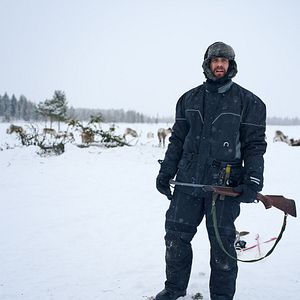 Bilder Das Leuchten der Rentiere