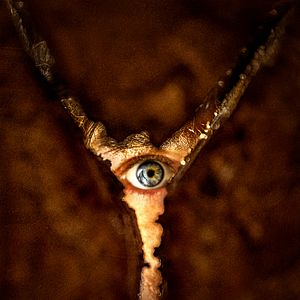 Bilder Return To Silent Hill