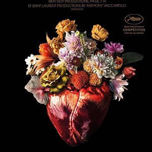 Bilder Emilia Pérez