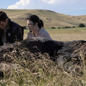 Bilder In Vitro - Das Klon-Experiment