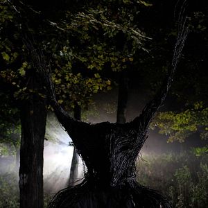 Bilder Im Kopf des Killers - A Wounded Fawn