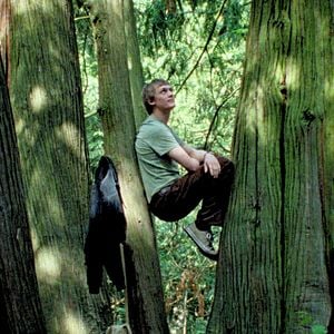 Bilder Silent Friend