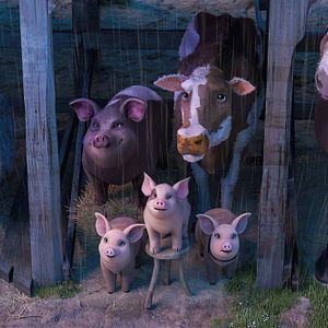 Bilder Aufstand der Tiere