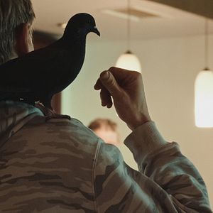 Bilder Soldaten des Lichts