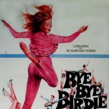 Bilder Bye Bye Birdie