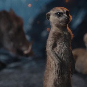 Bilder Mufasa: Der König der Löwen