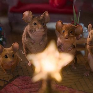 Bilder Mission: Mäusejagd - Chaos unterm Weihnachtsbaum