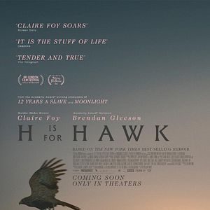 Bilder H wie Habicht