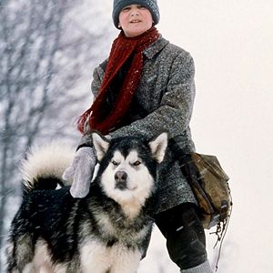 Bilder Kayla - Mein Freund aus der Wildnis