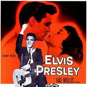 Bilder Mein Leben ist der Rhythmus