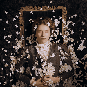 Bilder Katharina Stark