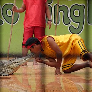 Bilder Crocodile Tears