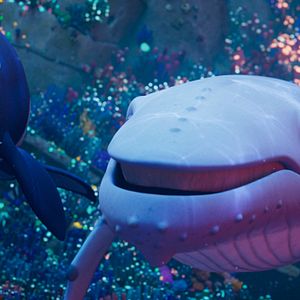 Bilder Der letzte Walsänger