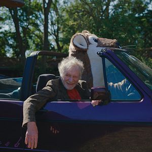 Bilder Rote Sterne überm Feld