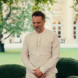 Bilder Pfau – Bin ich echt?