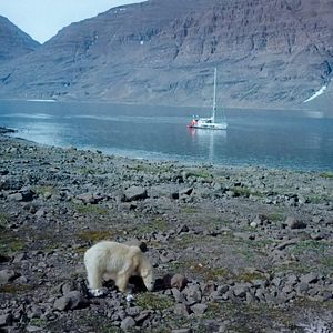 Bilder Home Is The Ocean