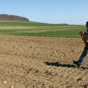 Bilder Wir sind so frei