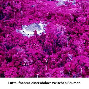 Bilder Die Vision der Claudia Andujar