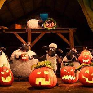 Bilder Shaun das Schaf - Spuk im Kürbisfeld