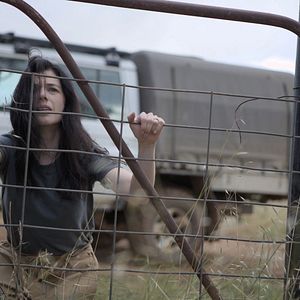 Bilder In Vitro - Das Klon-Experiment