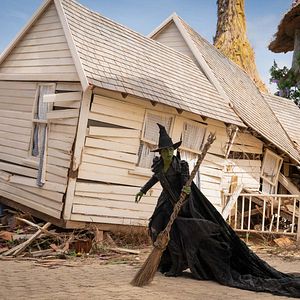 Bilder Wicked: Teil 2