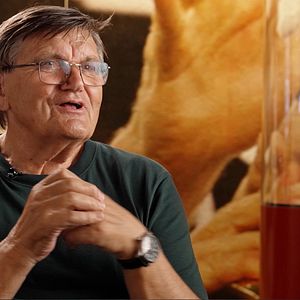 Bilder Aura einer Legende - 125 Jahre Erster Fußball-Club Nürnberg