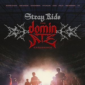 Bilder Stray Kids: The dominATE Experience