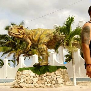 Bilder Wir werden alle sterben!