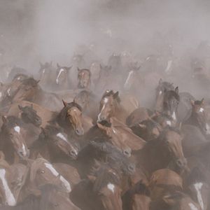 Bilder Only on Earth