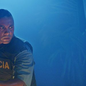 Bilder Dominique - Rise Of The Phoenix