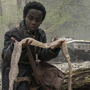 Bilder Anthony B. Jenkins