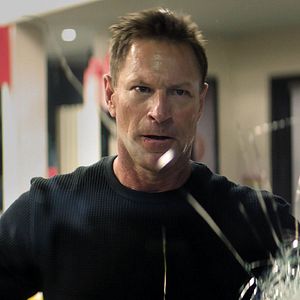 Bilder Muzzle: City Of Wolves