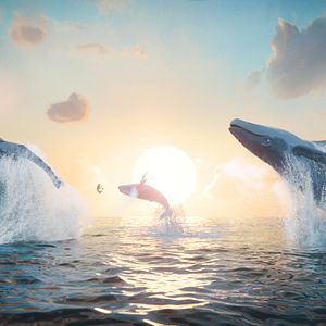 Bilder Der letzte Walsänger