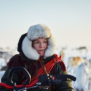 Bilder Das Leuchten der Rentiere