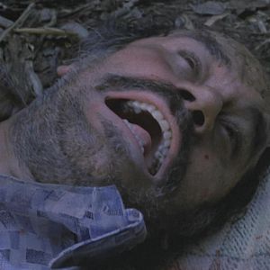 Bilder Dschungelinferno