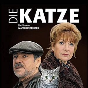 Bilder Die Katze