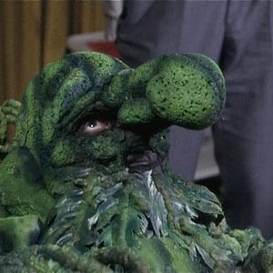 Bilder Wir pfeifen auf den Gurkenkönig