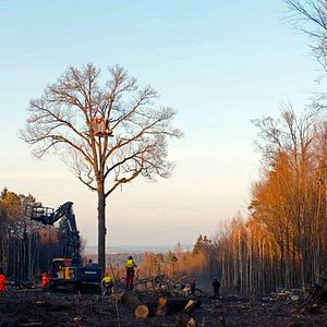 Bilder System Change – A Story of Growing Resistance