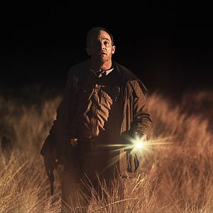 Bilder Alma und der Wolf